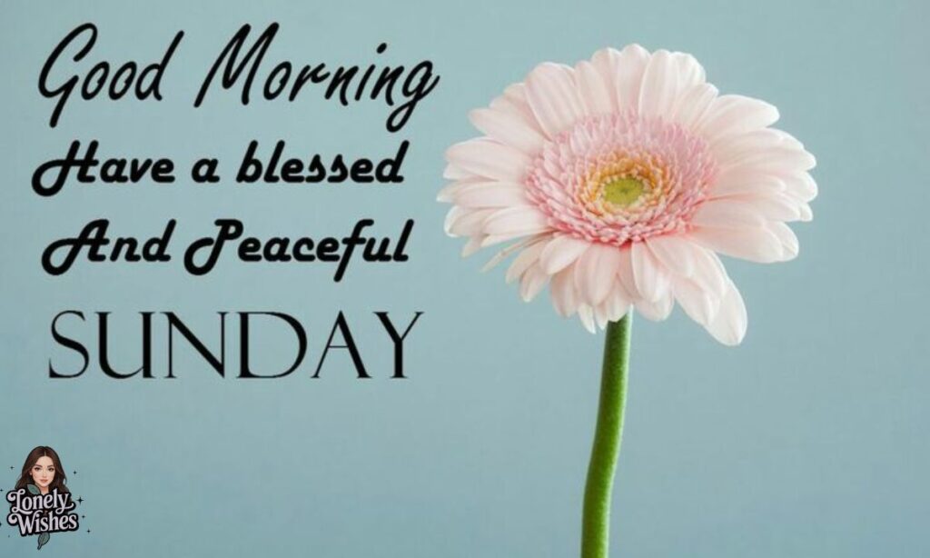 Sunday Morning Quotes